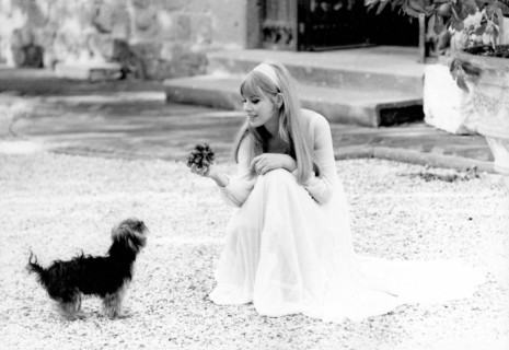Britt Ekland